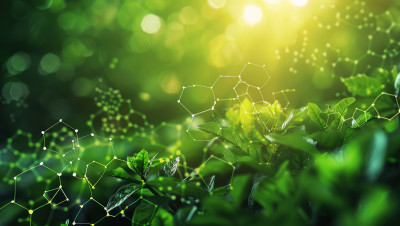 Leaves sunlight and geometric shapes arranged in a lattice